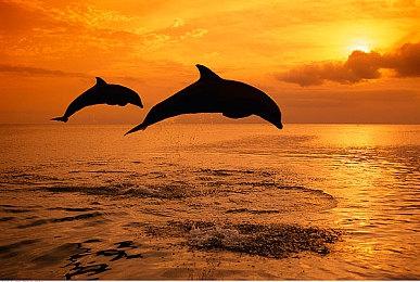 《波斯王子：失落的王冠》开发完成 开始送厂压盘