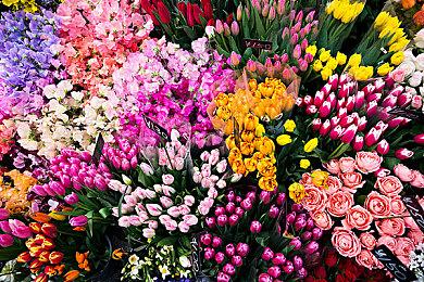 英国驳回CMA拖延微软与动视交易听证会的动议